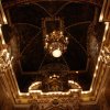 Burgio_2009 (436)